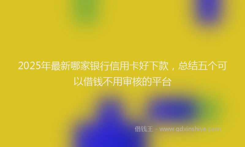 2025年最新哪家银行信用卡好下款，总结五个可以借钱不用审核的平台