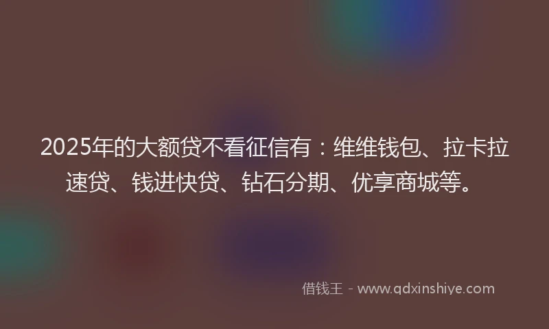 2025年的大额贷不看征信有：维维钱包、拉卡拉速贷、钱进快贷、钻石分期、优享商城等。