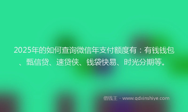 2025年的如何查询微信年支付额度有：有钱钱包、甄信贷、速贷侠、钱袋快易、时光分期等。