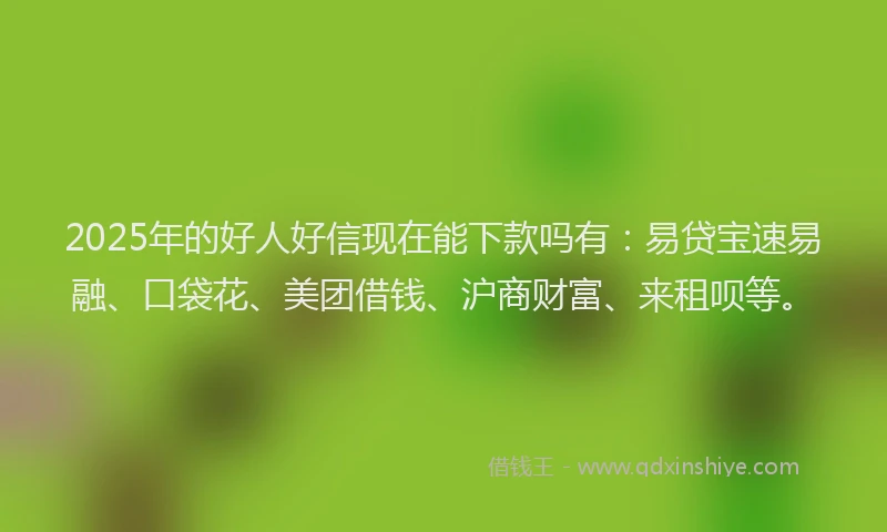 2025年的好人好信现在能下款吗有：易贷宝速易融、口袋花、美团借钱、沪商财富、来租呗等。