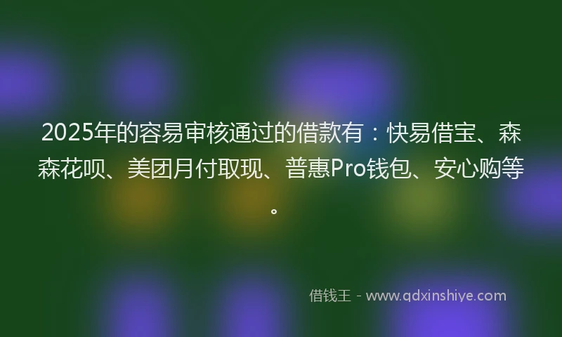 2025年的容易审核通过的借款有：快易借宝、森森花呗、美团月付取现、普惠Pro钱包、安心购等。