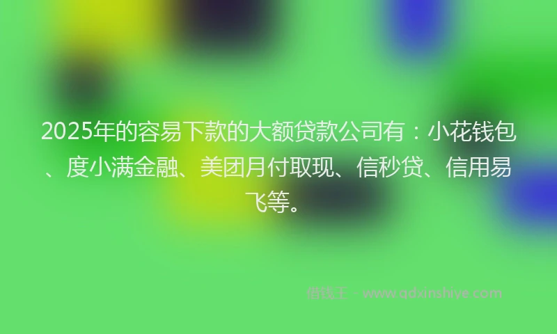 2025年的容易下款的大额贷款公司有：小花钱包、度小满金融、美团月付取现、信秒贷、信用易飞等。