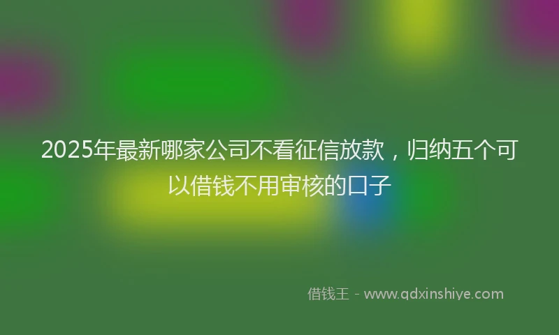 2025年最新哪家公司不看征信放款，归纳五个可以借钱不用审核的口子