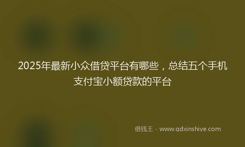 2025年最新小众借贷平台有哪些，总结五个手机支付宝小额贷款的平台