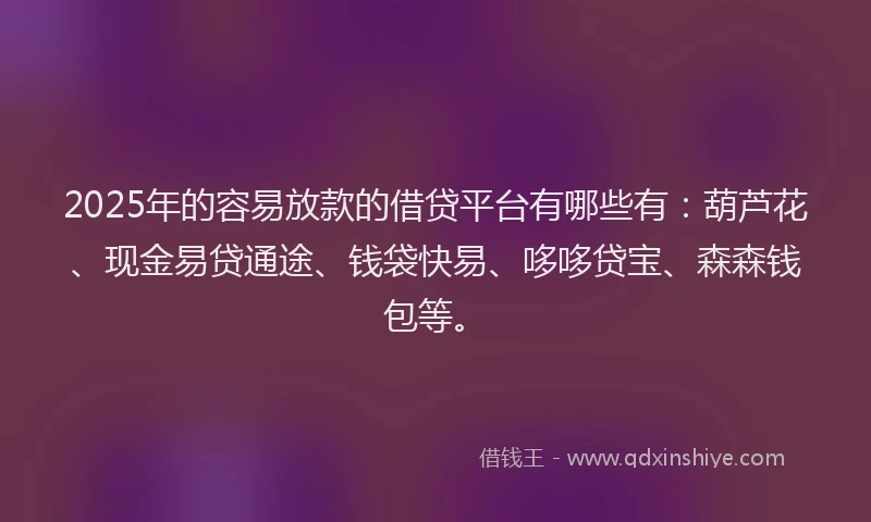 2025年的容易放款的借贷平台有哪些有：葫芦花、现金易贷通途、钱袋快易、哆哆贷宝、森森钱包等。