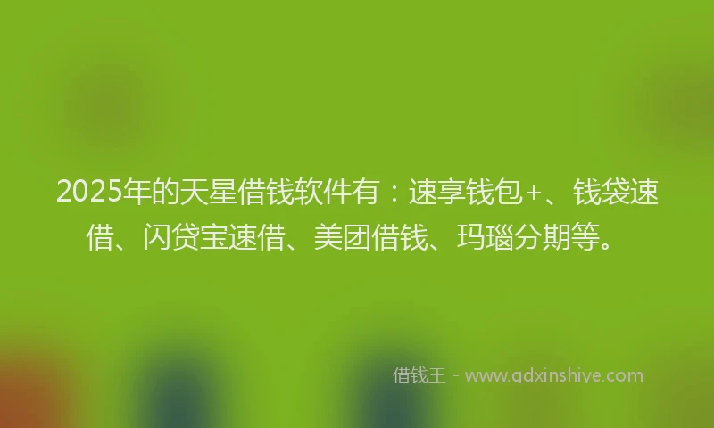 2025年的天星借钱软件有：速享钱包+、钱袋速借、闪贷宝速借、美团借钱、玛瑙分期等。