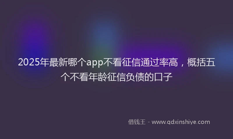 2025年最新哪个app不看征信通过率高，概括五个不看年龄征信负债的口子