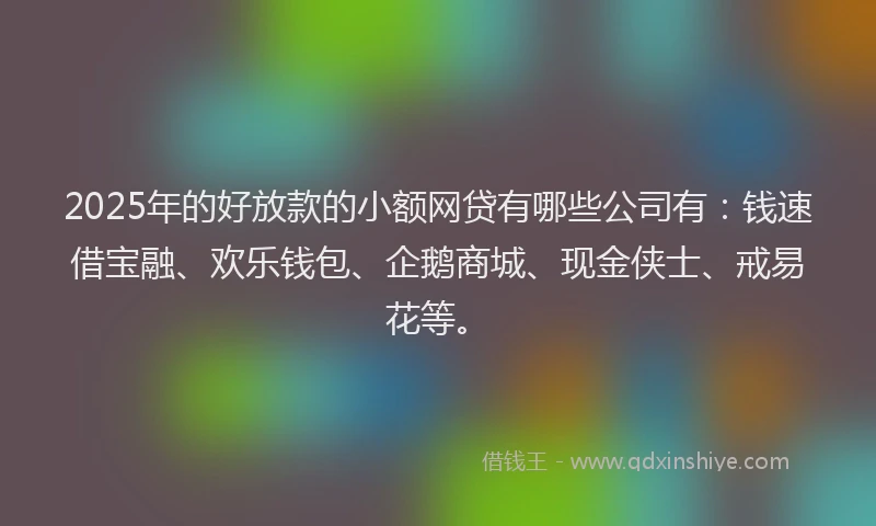 2025年的好放款的小额网贷有哪些公司有：钱速借宝融、欢乐钱包、企鹅商城、现金侠士、戒易花等。