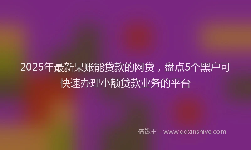 2025年最新呆账能贷款的网贷，盘点5个黑户可快速办理小额贷款业务的平台