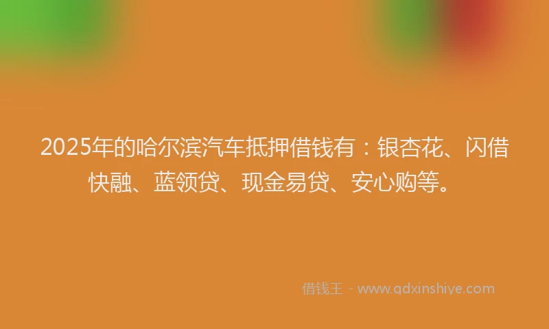2025年的哈尔滨汽车抵押借钱有：银杏花、闪借快融、蓝领贷、现金易贷、安心购等。