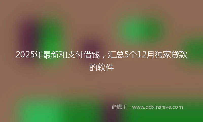 2025年最新和支付借钱，汇总5个12月独家贷款的软件