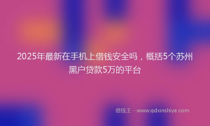 2025年最新在手机上借钱安全吗，概括5个苏州黑户贷款5万的平台