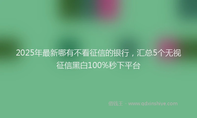 2025年最新哪有不看征信的银行，汇总5个无视征信黑白100%秒下平台