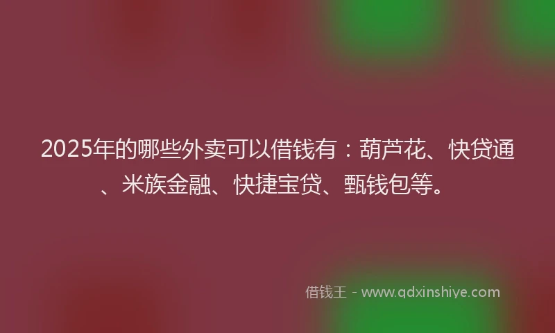 2025年的哪些外卖可以借钱有：葫芦花、快贷通、米族金融、快捷宝贷、甄钱包等。