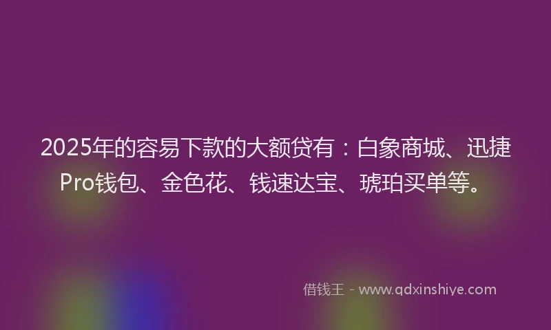 2025年的容易下款的大额贷有：白象商城、迅捷Pro钱包、金色花、钱速达宝、琥珀买单等。