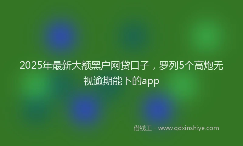 2025年最新大额黑户网贷口子，罗列5个高炮无视逾期能下的app