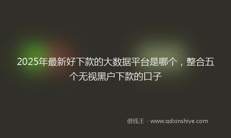 2025年最新好下款的大数据平台是哪个，整合五个无视黑户下款的口子