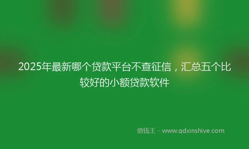 2025年最新哪个贷款平台不查征信，汇总五个比较好的小额贷款软件