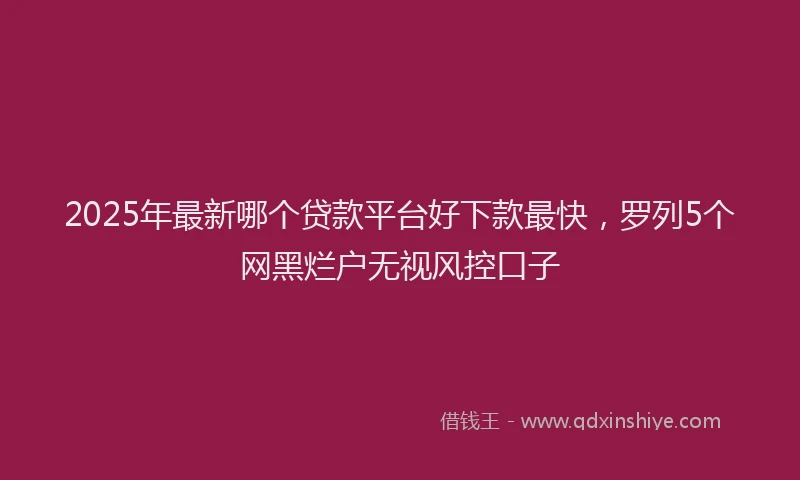 2025年最新哪个贷款平台好下款最快，罗列5个网黑烂户无视风控口子