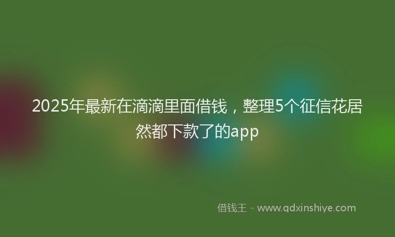 2025年最新在滴滴里面借钱，整理5个征信花居然都下款了的app