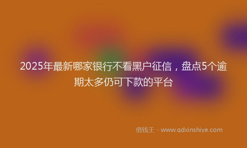 2025年最新哪家银行不看黑户征信，盘点5个逾期太多仍可下款的平台