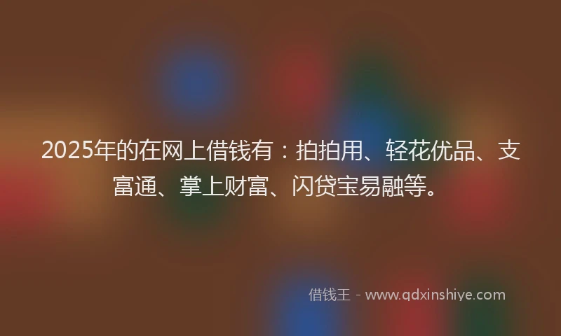 2025年的在网上借钱有：拍拍用、轻花优品、支富通、掌上财富、闪贷宝易融等。