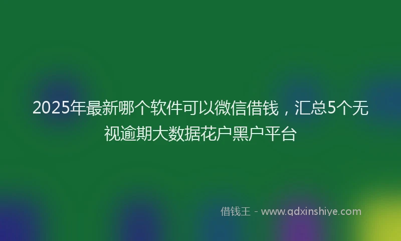 2025年最新哪个软件可以微信借钱，汇总5个无视逾期大数据花户黑户平台