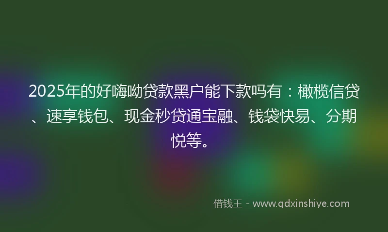 2025年的好嗨呦贷款黑户能下款吗有：橄榄信贷、速享钱包、现金秒贷通宝融、钱袋快易、分期悦等。