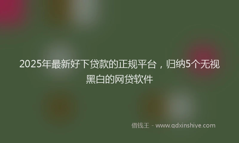 2025年最新好下贷款的正规平台，归纳5个无视黑白的网贷软件