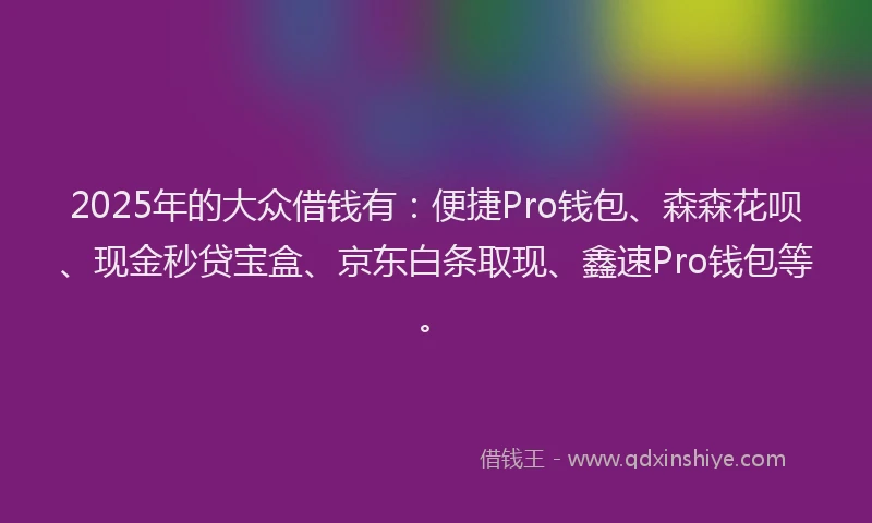 2025年的大众借钱有：便捷Pro钱包、森森花呗、现金秒贷宝盒、京东白条取现、鑫速Pro钱包等。
