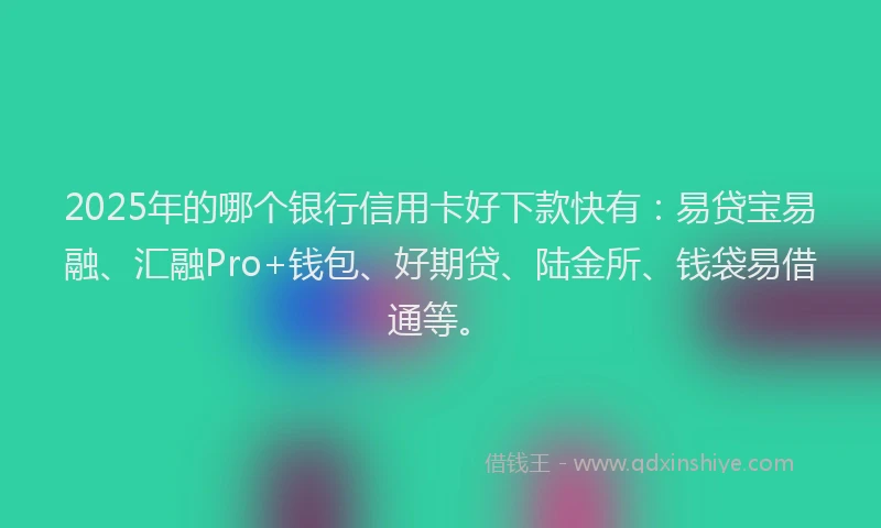 2025年的哪个银行信用卡好下款快有：易贷宝易融、汇融Pro+钱包、好期贷、陆金所、钱袋易借通等。