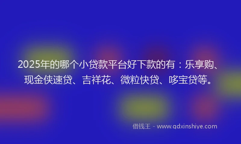2025年的哪个小贷款平台好下款的有：乐享购、现金侠速贷、吉祥花、微粒快贷、哆宝贷等。