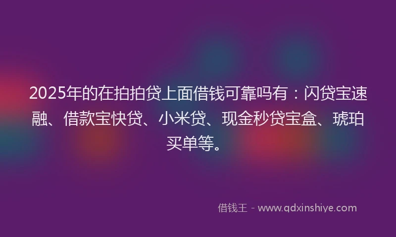 2025年的在拍拍贷上面借钱可靠吗有：闪贷宝速融、借款宝快贷、小米贷、现金秒贷宝盒、琥珀买单等。
