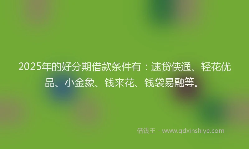 2025年的好分期借款条件有：速贷侠通、轻花优品、小金象、钱来花、钱袋易融等。