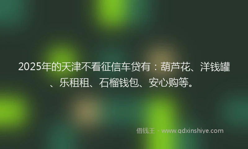 2025年的天津不看征信车贷有：葫芦花、洋钱罐、乐租租、石榴钱包、安心购等。