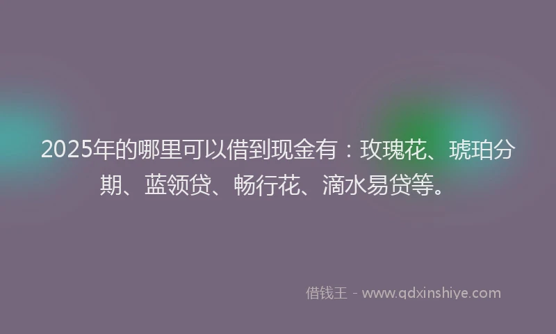2025年的哪里可以借到现金有：玫瑰花、琥珀分期、蓝领贷、畅行花、滴水易贷等。