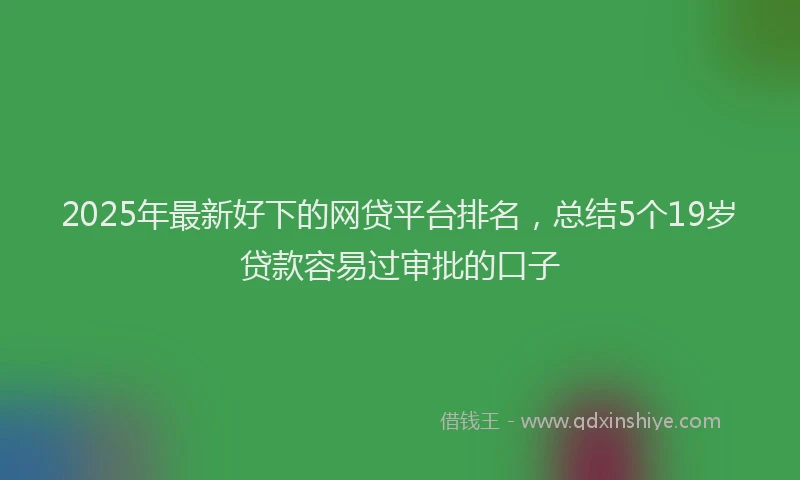 2025年最新好下的网贷平台排名，总结5个19岁贷款容易过审批的口子