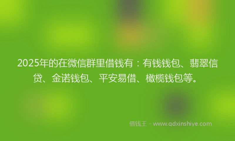 2025年的在微信群里借钱有：有钱钱包、翡翠信贷、金诺钱包、平安易借、橄榄钱包等。