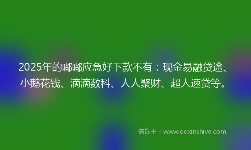 2025年的嘟嘟应急好下款不有：现金易融贷途、小鹅花钱、滴滴数科、人人聚财、超人速贷等。