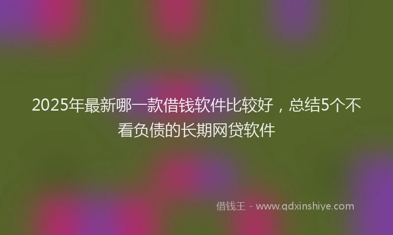 2025年最新哪一款借钱软件比较好，总结5个不看负债的长期网贷软件