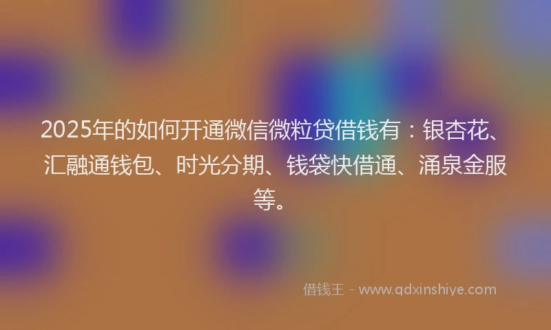 2025年的如何开通微信微粒贷借钱有：银杏花、汇融通钱包、时光分期、钱袋快借通、涌泉金服等。