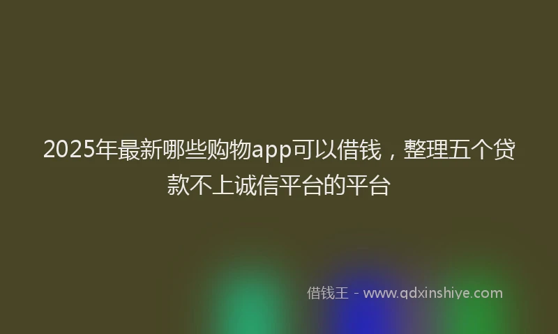 2025年最新哪些购物app可以借钱，整理五个贷款不上诚信平台的平台