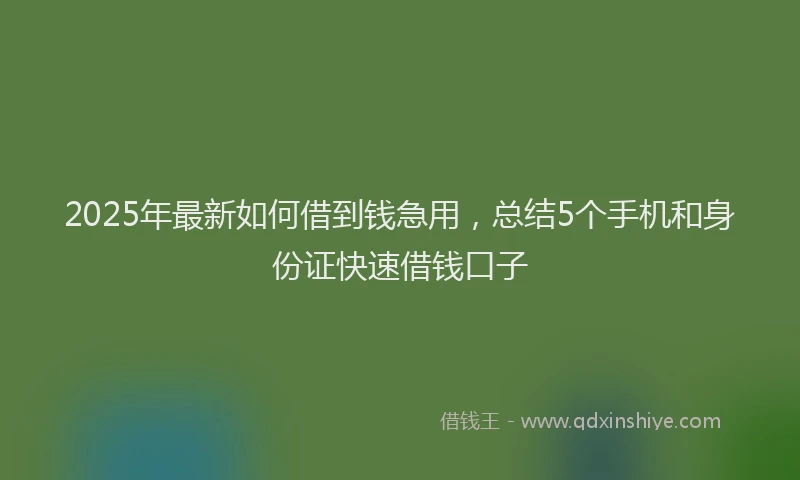 2025年最新如何借到钱急用，总结5个手机和身份证快速借钱口子