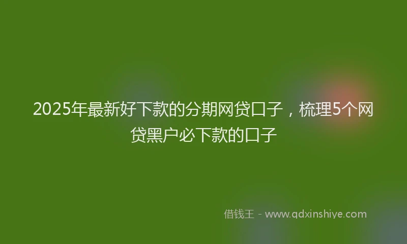 2025年最新好下款的分期网贷口子，梳理5个网贷黑户必下款的口子