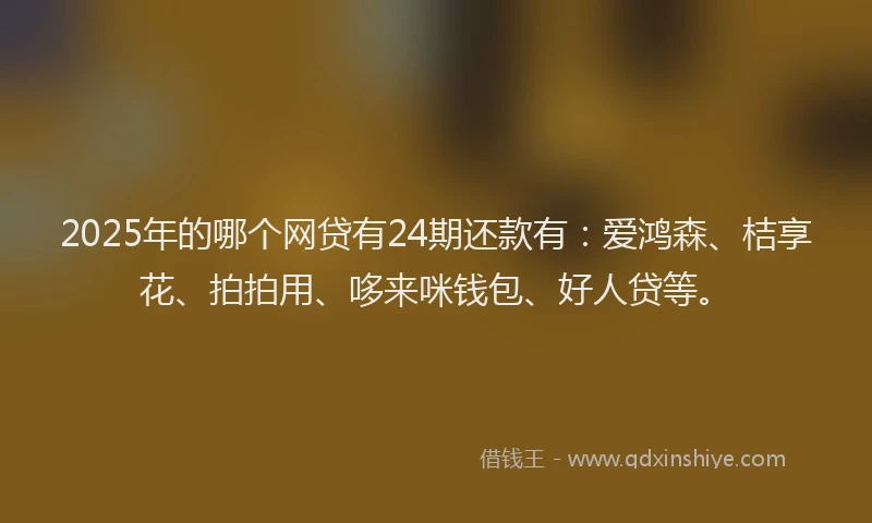 2025年的哪个网贷有24期还款有：爱鸿森、桔享花、拍拍用、哆来咪钱包、好人贷等。