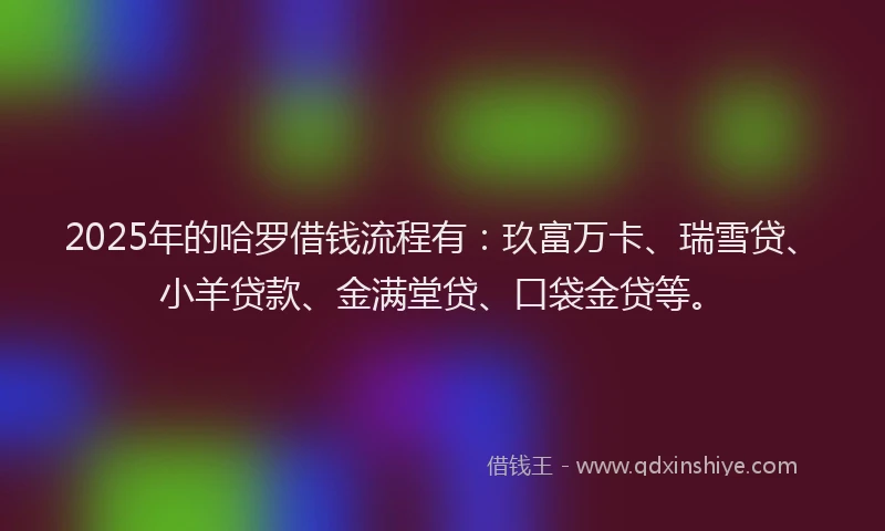 2025年的哈罗借钱流程有：玖富万卡、瑞雪贷、小羊贷款、金满堂贷、口袋金贷等。