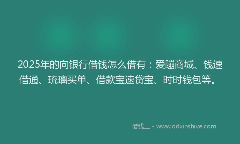 2025年的向银行借钱怎么借有：爱蹦商城、钱速借通、琉璃买单、借款宝速贷宝、时时钱包等。