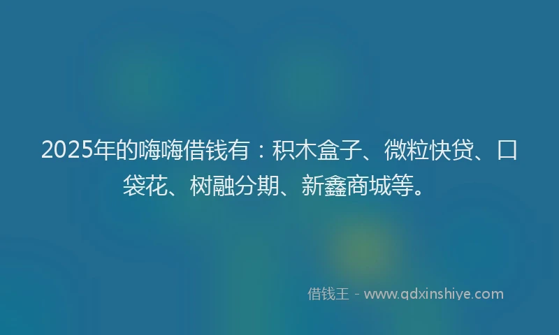 2025年的嗨嗨借钱有：积木盒子、微粒快贷、口袋花、树融分期、新鑫商城等。