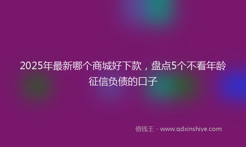 2025年最新哪个商城好下款，盘点5个不看年龄征信负债的口子