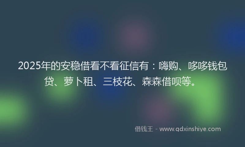 2025年的安稳借看不看征信有：嗨购、哆哆钱包贷、萝卜租、三枝花、森森借呗等。